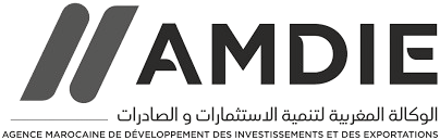 AMDIE, Agence Marocaine de Développement des Investissements et des Exportations